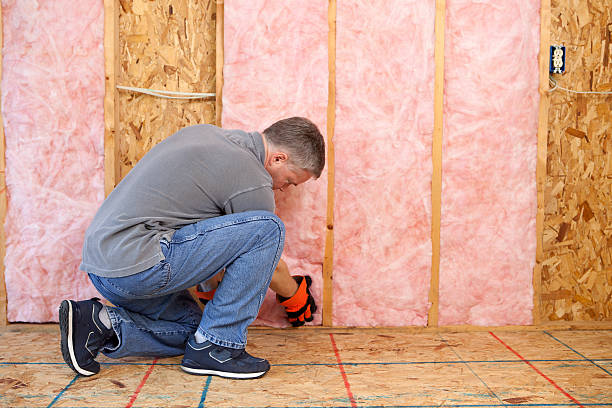 Best Cellulose Insulation in Lebanon South, PA